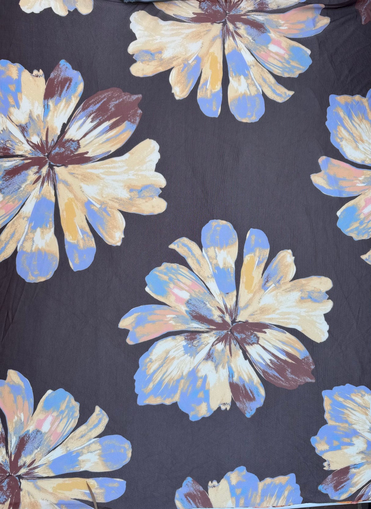 PH250011-005DTP C5/BROWN EXCLUSIVE PRINTS