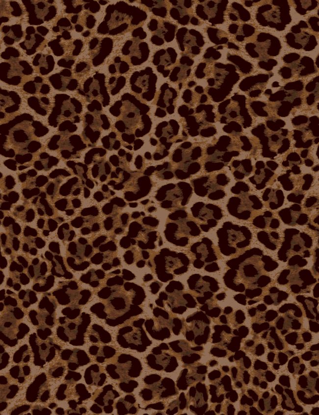 A250875-009DTP C2/AUBURN EXCLUSIVE PRINTS