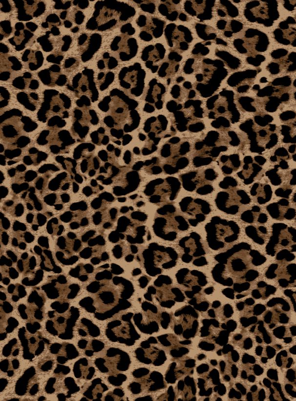 A250875-009DTP C3/CAMEL EXCLUSIVE PRINTS