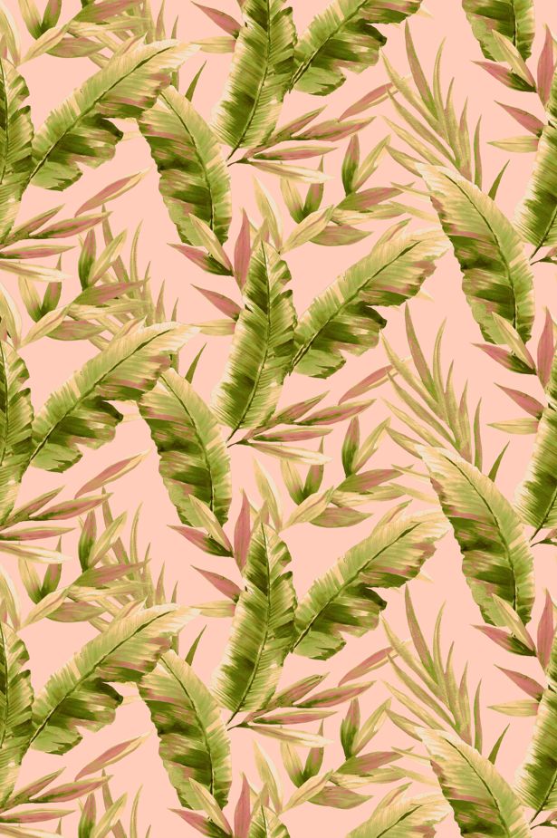 T250854-014DTP C4/GREEN/PEACH EXCLUSIVE PRINTS