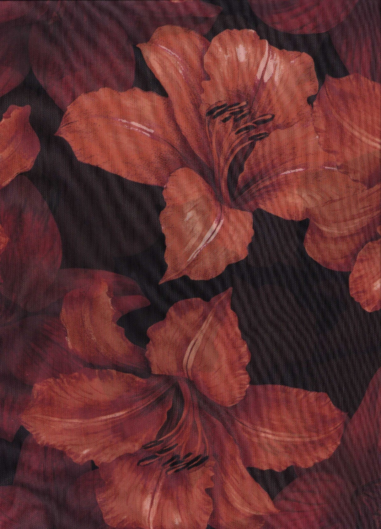 F250631B-005DTP BLACK/BROWN EXCLUSIVE PRINTS