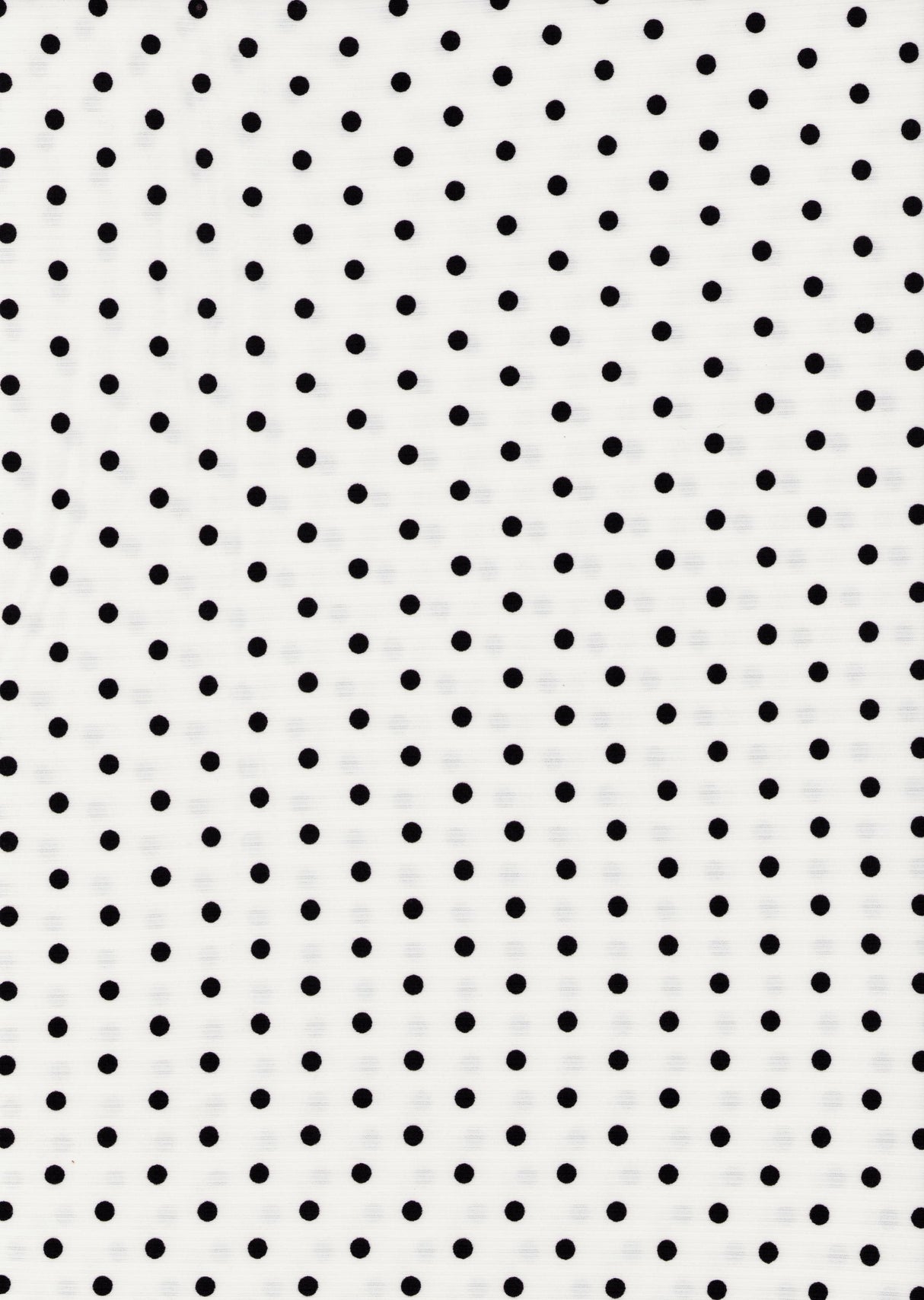 PRT-2583-026 IVORY/BLACK PRINTS
