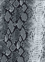 NFA190139-035 BLACK/SILVER PRINTS
