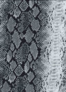 NFA190139-035 BLACK/SILVER PRINTS