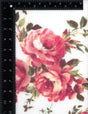 NFF190145-005 IVORY/PINK PRINTS