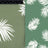 NF00969B-009 SAGE/OFFWHITE PRINTS