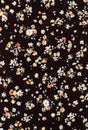 NFF210209-026 BLACK PRINTS