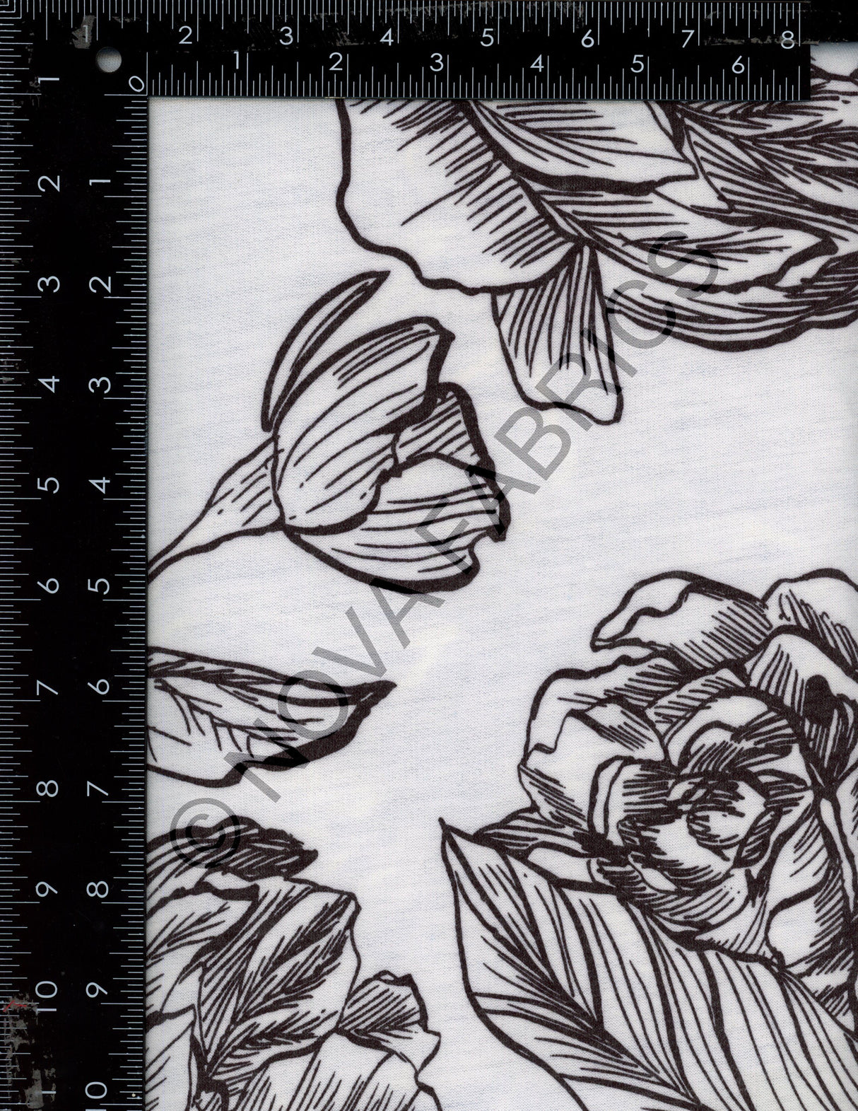 NFF00912B-012 C24/IVORY PRINTS