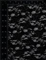 NOV-LAC60 BLACK LACE