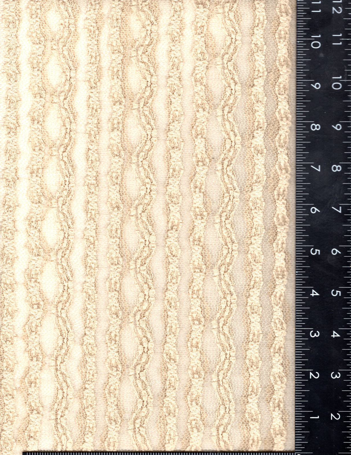 LACE-2561 SAND LACE