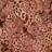 P250868-005DTP C3/ROSE/BROWN EXCLUSIVE PRINTS