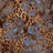 P250868-005DTP C4/BROWN/BLUE EXCLUSIVE PRINTS