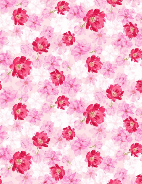 PH250003-005DTP C1/PINK EXCLUSIVE PRINTS