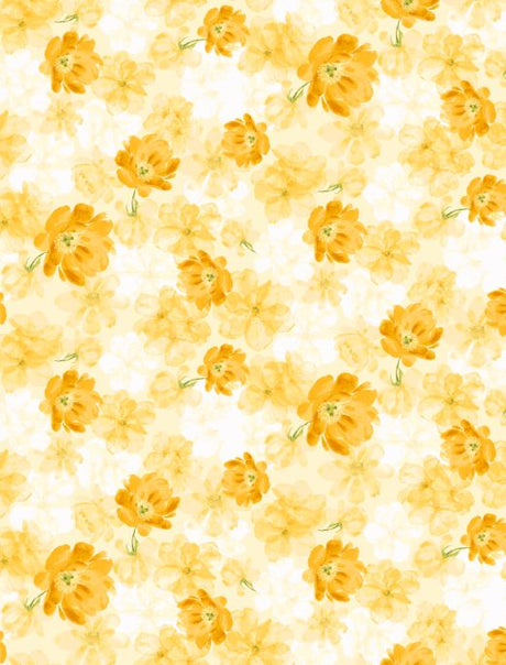 PH250003-005DTP C2/YELLOW EXCLUSIVE PRINTS