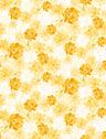 PH250003-005DTP C2/YELLOW EXCLUSIVE PRINTS