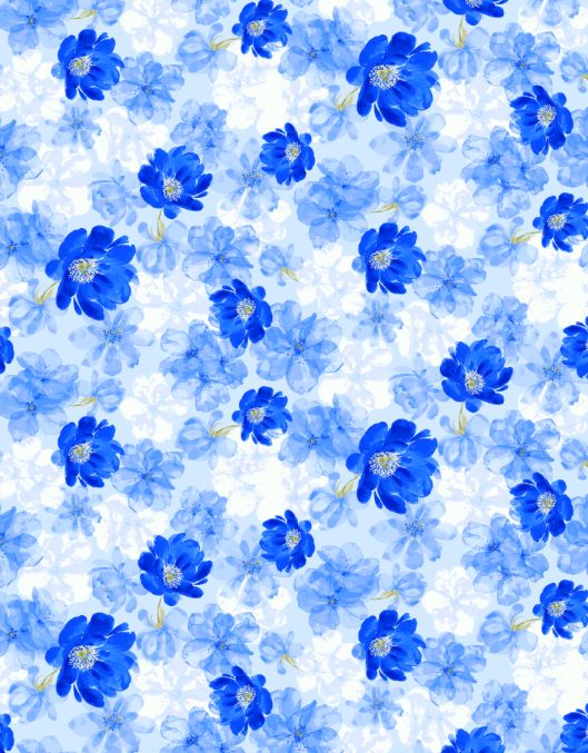 PH250003-005DTP C4/BLUE EXCLUSIVE PRINTS