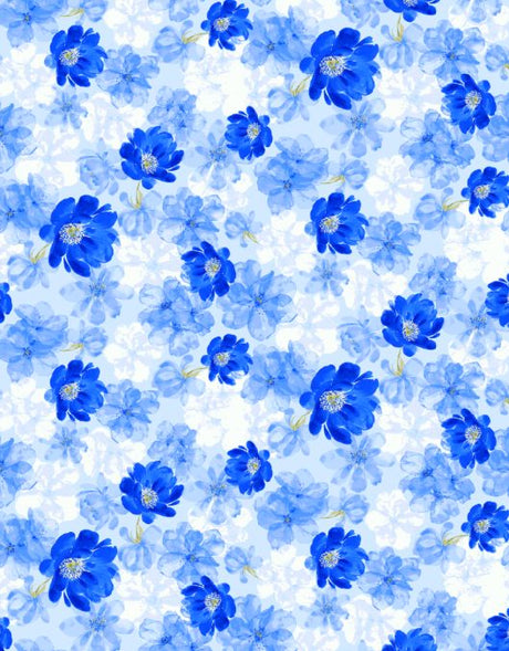 PH250003-005DTP C4/BLUE EXCLUSIVE PRINTS