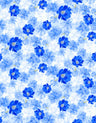 PH250003-005DTP C4/BLUE EXCLUSIVE PRINTS