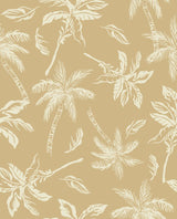 PH250028-032DTP C2/TAUPE/CREAM EXCLUSIVE PRINTS