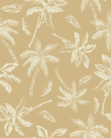 PH250028-032DTP C2/TAUPE/CREAM EXCLUSIVE PRINTS