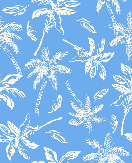 PH250028-032DTP C4/BLUE/CREAM EXCLUSIVE PRINTS