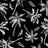 PH250028-032DTP C5/BLACK/IVORY EXCLUSIVE PRINTS