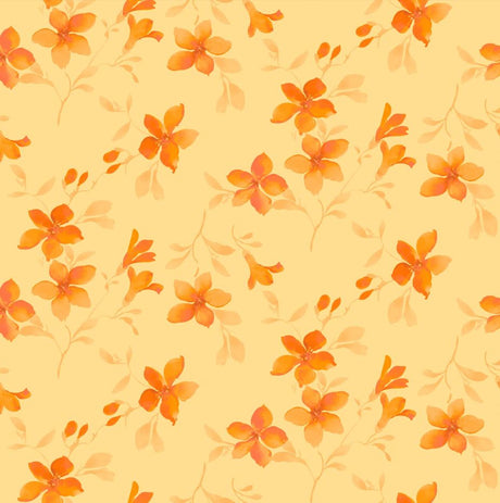 F250817-032DTP C2/ORANGE EXCLUSIVE PRINTS