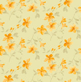 F250817-032DTP C5/SAGE EXCLUSIVE PRINTS