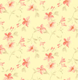 F250817-032DTP C7/BUTTER EXCLUSIVE PRINTS