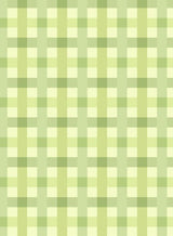 P250859-005DTP C2/LIME EXCLUSIVE PRINTS