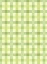 P250859-005DTP C2/LIME EXCLUSIVE PRINTS
