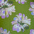 PH250011-005DTP C1/AVOCADO EXCLUSIVE PRINTS