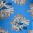 PH250011-005DTP C4/BABY BLUE EXCLUSIVE PRINTS