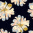 PH250011-005DTP C6/BLACK/BLUE EXCLUSIVE PRINTS