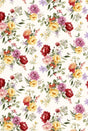 F250855-005DTP C1/IVORY EXCLUSIVE PRINTS