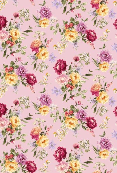 F250855-005DTP C2/PINK EXCLUSIVE PRINTS