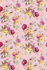 F250855-005DTP C2/PINK EXCLUSIVE PRINTS