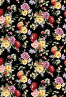 F250855-005DTP C4/BLACK EXCLUSIVE PRINTS