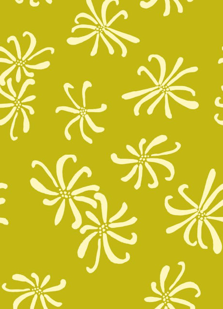 PH250024-005DTP C2/AVOCADO2TONE EXCLUSIVE PRINTS