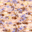 T250857-005DTP C1/PEACH MULTI EXCLUSIVE PRINTS