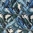 PH250012-005DTP C3/TEAL/CREAM EXCLUSIVE PRINTS