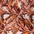 PH250012-005DTP C7/CORAL/CREAM EXCLUSIVE PRINTS