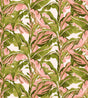 PH250012-014DTP C2/LIME/CREAM EXCLUSIVE PRINTS