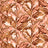 PH250012-014DTP C7/CORAL/CREAM EXCLUSIVE PRINTS