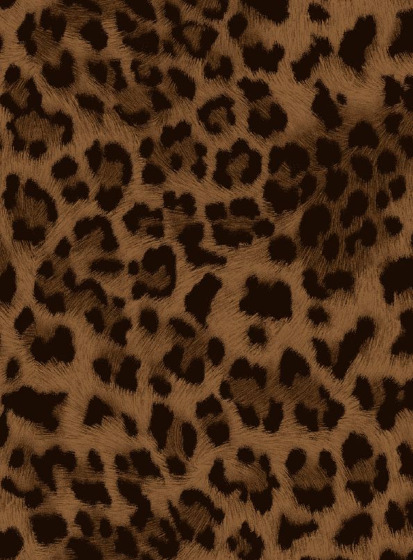 A250877-005DTP C3/AUBURN EXCLUSIVE PRINTS