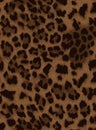 A250877-005DTP C3/AUBURN EXCLUSIVE PRINTS