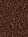 A250875-005DTP C2/AUBURN EXCLUSIVE PRINTS