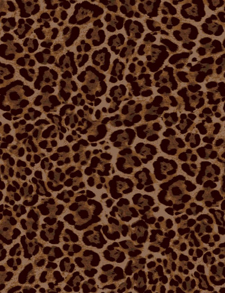 A250875-009DTP C2/AUBURN EXCLUSIVE PRINTS