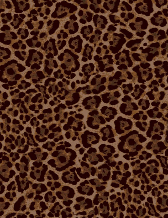 A250875-009DTP C2/AUBURN EXCLUSIVE PRINTS