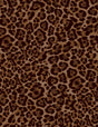 A250875-009DTP C2/AUBURN EXCLUSIVE PRINTS